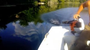 Однако мощная воздуходувка STIHL BG 86!