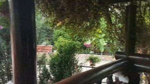 Отдых в лагонаках?⛰Гостевая Усадьба станица Даховская!