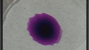 Урок 35 - Диффузия