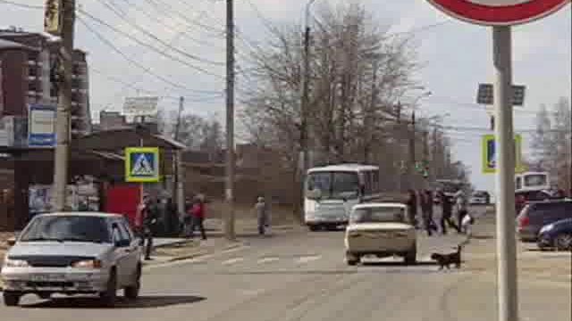 Мещерякова София, Пешеход и переход, МБОУ г.Иркутска СОШ №38 смотреть онлайн