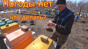 СТИМУЛЯЦИЯ семей и ШЕСТИРАМОЧНИКОВ! Погоды нет, но вы держитесь!!!