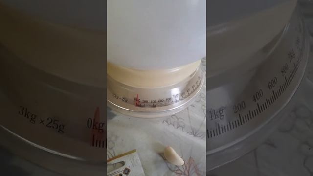 капуста экстраранняя Нозоми,рекомендую. смотреть онлайн