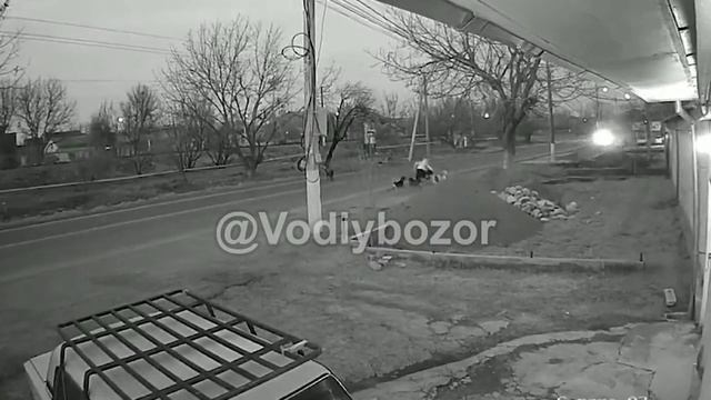 МУЖЧИНА СПАС ДЕВУШКУ,НА КОТОРУЮ НАБРАСИЛОСЫ СТАЯ УЛИЧНЫХ СОБАК.. смотреть онлайн