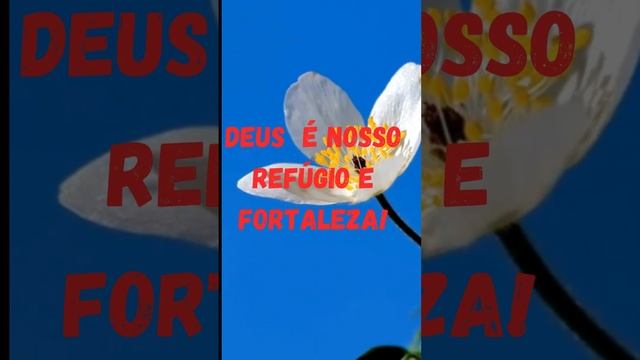 ORAÇÃO A DEUS MISERICORDIOSO [Jesus está no controle]? #oraçãoadeus #misericórdiadedeus #oração