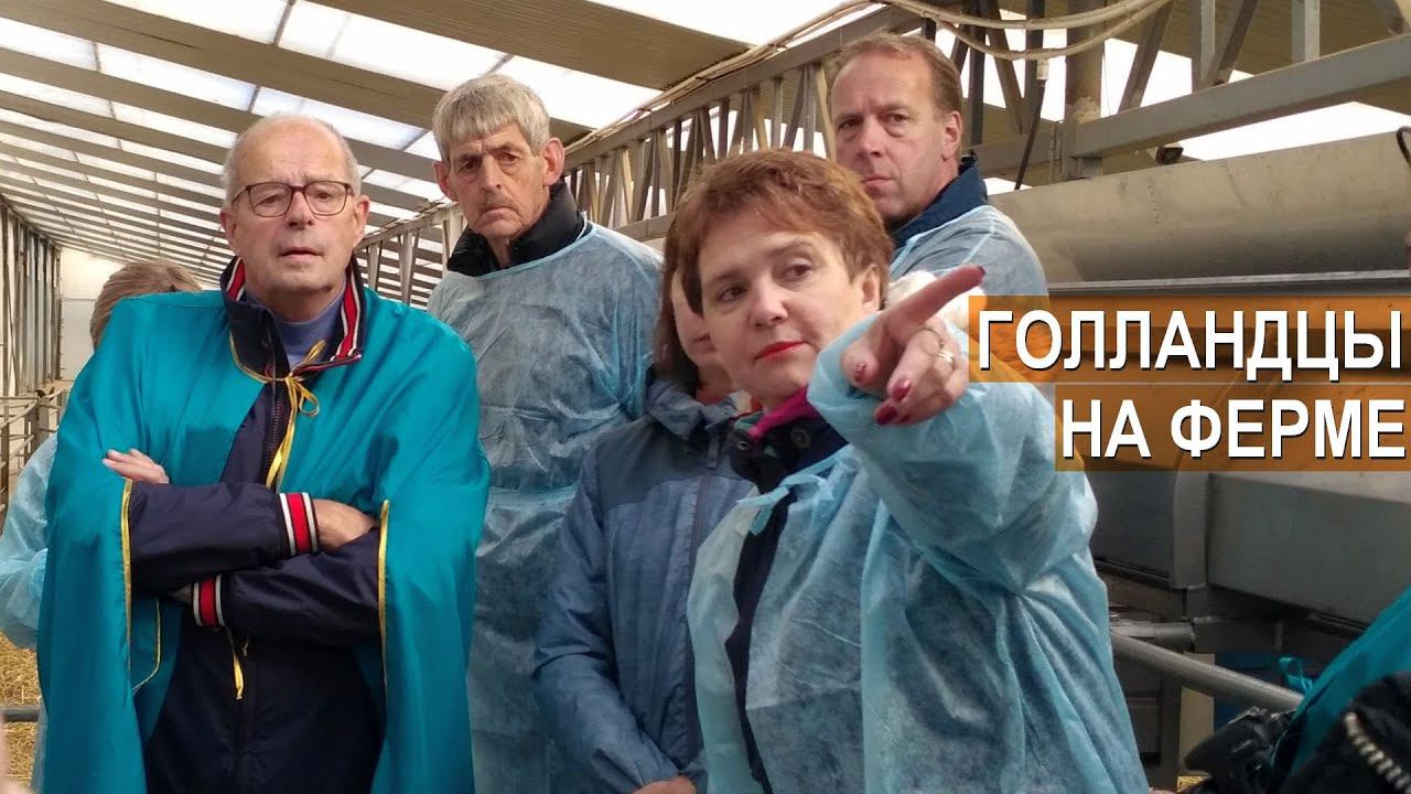 Делегация фермеров из Голландии на ферме Нины Муляк