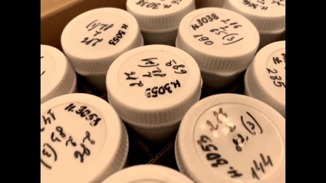 Архивы. Поиск информации о родословной в российских государственных архивах. РГАДА. #родословная