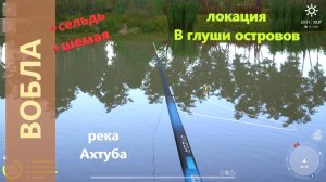 Русская рыбалка 4 - река Ахтуба - Вобла у коряги