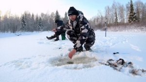 Зимняя рыбалка.Попали на дикий жор окуня в ручье