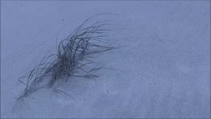 Аль Азиф часть 6 Предназначение