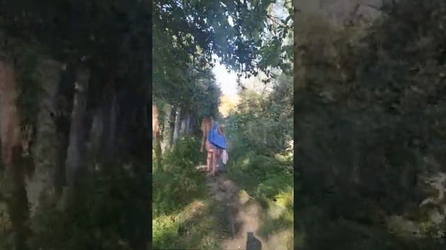 Дом в д.Дешовки рядом с городом Козельск. смотреть онлайн