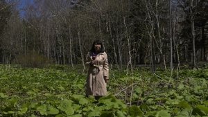 Сахалинцы готовят дикоросы