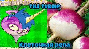 РАСТЕНИЯ В РЕАЛЬНОЙ ЖИЗНИ | ПЕРСОНАЖИ ИЗ ИГРЫ РАСТЕНИЯ ПРОТИВ ЗОМБИ | PvZ 2 | Plants vs zombies 2.