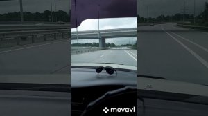 Купил жене собаку!