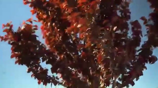 Духовный центр (Аллея героев Медиков) смотреть онлайн