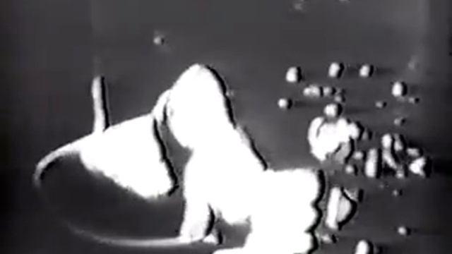 Энди Уорхол Диван 1964 смотреть онлайн