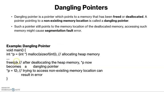 C Programming: Lecture #61: Types of Pointers