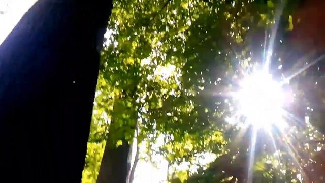 Немецкие джунгли смотреть онлайн