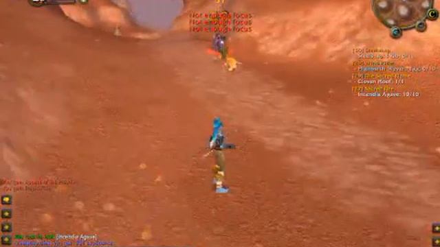 Joana killing Steelsnap in vanilla WoW смотреть онлайн