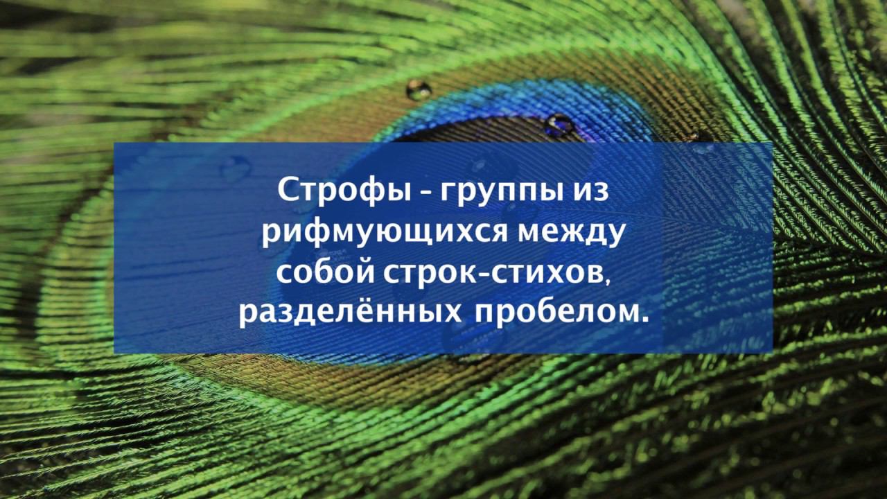 Первоначальное представление о строфе. Литература 5 класс.