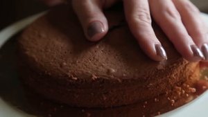 Торт Черный Лес Рецепт в домашних условиях