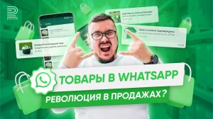 Каталог-товаров в WhatsApp: полный обзор