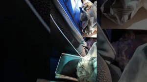 Карбюратор от Наиля Порошина