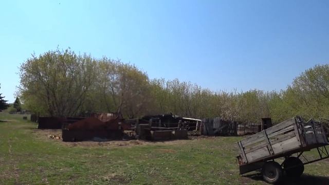 Как гибнет русская деревня. Как ее можно возродить? смотреть онлайн