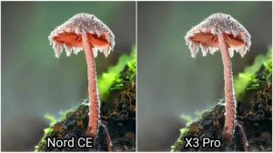 Oneplus Nord CE 5G vs Poco X3 Pro Camera test | Video test | Oneplus Nord CE 5G Camera comparison ?