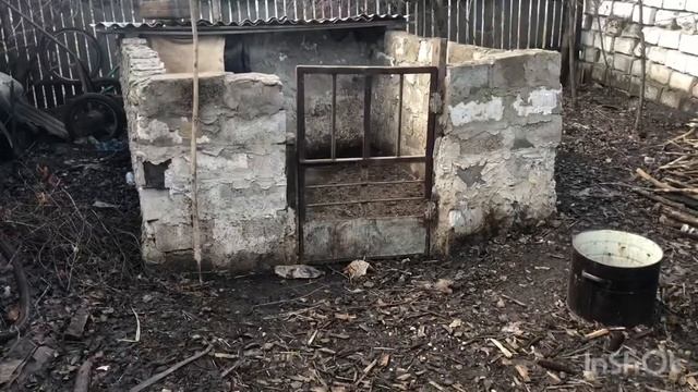 Свиноводство с нуля! Бизнес на свиньях! смотреть онлайн