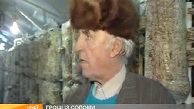 Как заработать на выращивании грибов