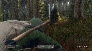 DayZ [CAPITAL] - Мелкашка Sporter против медведя