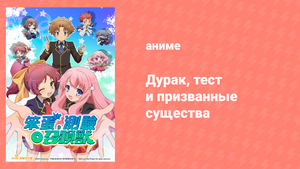 Дурак, тест и призванные существа 1 сезон 11 серия (аниме-сериал, 2010)