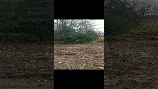 Укладка бетонного боя. Подъездная дорога. БарнЛайф 202