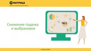 Какие операции в свиноводстве можно оптимизировать с помощью программного обеспечения от МАТРИЦЫ