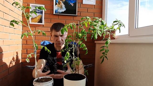 Что нужно для хорошего урожая от чего зависит плодородие почвы смотреть онлайн