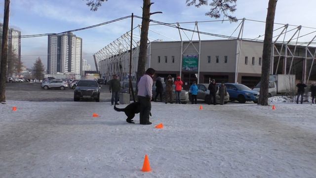 ПРК Астерия Виттори смотреть онлайн