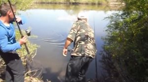 ловим карася на дендробену на плотине.