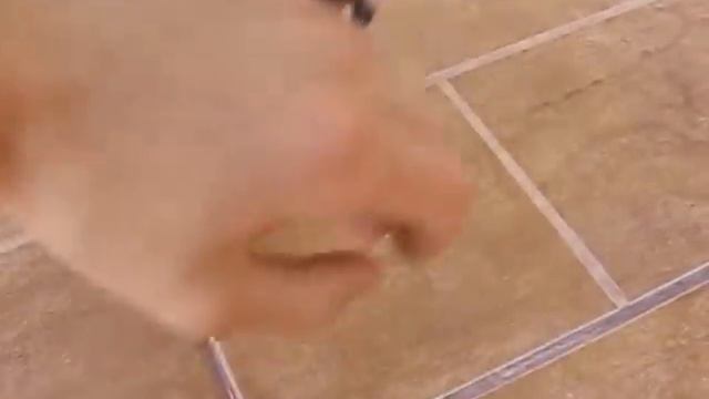 Боевой голубь смотреть онлайн