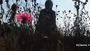 Evil Not Alone    Я справлюсь