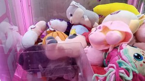 Вытащили музыкальную игрушку стоимостью 800 рублей.