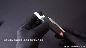 Нож Victorinox Forester 0.8363.3 - обзор