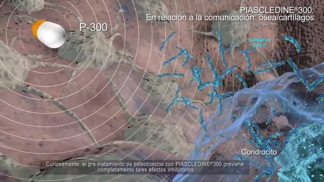 PIASCLEDINE®300 Mecanismo de Acción смотреть онлайн