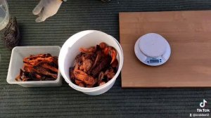 Конец бедной жизни)