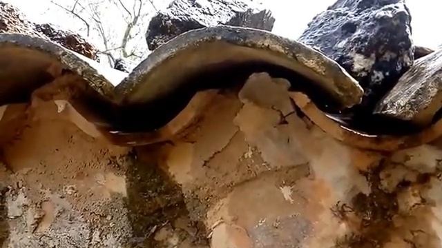Bogdan Popov. Rain water harvesting in Mallorca.  Богдан Попов. Сбор дождевой воды на Майорке