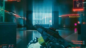 Заказ: Морские свинки - Cyberpunk 2077