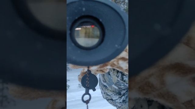 Тепловизор RikaNV в -27 смотреть онлайн