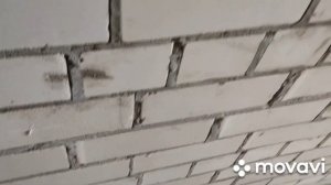 Декоративная штукатурка на потолок . Без выравнивания