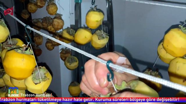 Ev Ortamında Trabzon (Cennet) Hurması Nasıl Kurutulur? | How to Dry Persimmon at Home? [K.DERE]
