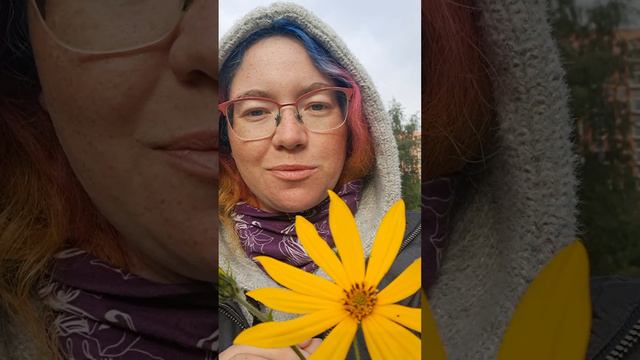 Утро осени и доброе пожелание для здоровья! смотреть онлайн