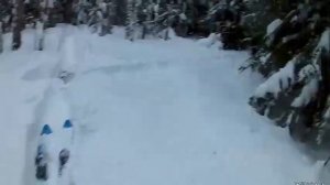 охота на зайца с русской гончей